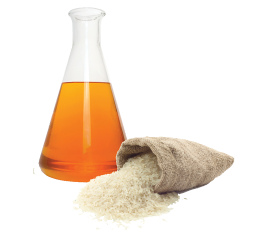 Dầu cám gạo - Rice Bran Oil