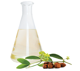 Dầu jojoba - Jojoba oil