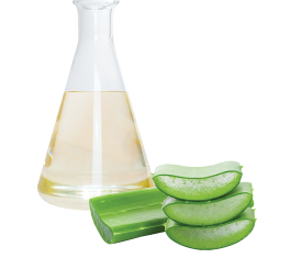 Dầu lô hội - Aloe vera oil