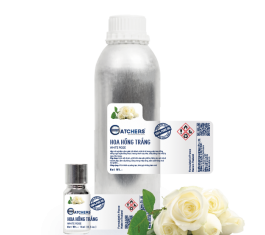 TINH DẦU HOA HỒNG TRẮNG – WHITE ROSE ESSENTIAL OIL