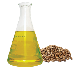Dầu hạt gai - Hemp seed oil