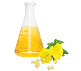 Dầu hoa anh thảo - Evening primrose oil