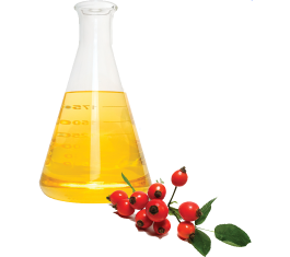 Dầu nụ tầm xuân - Rosehip oil