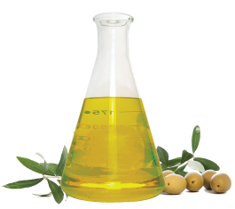 Dầu ô liu - Olive oil