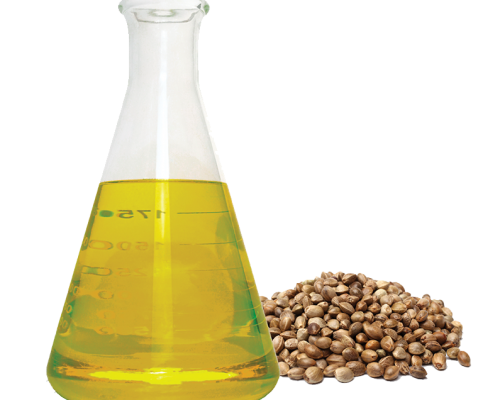 Dầu hạt gai - Hemp seed oil