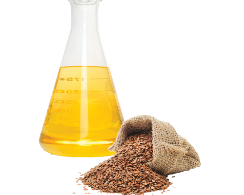 Dầu hạt lanh - Flaxseed oil