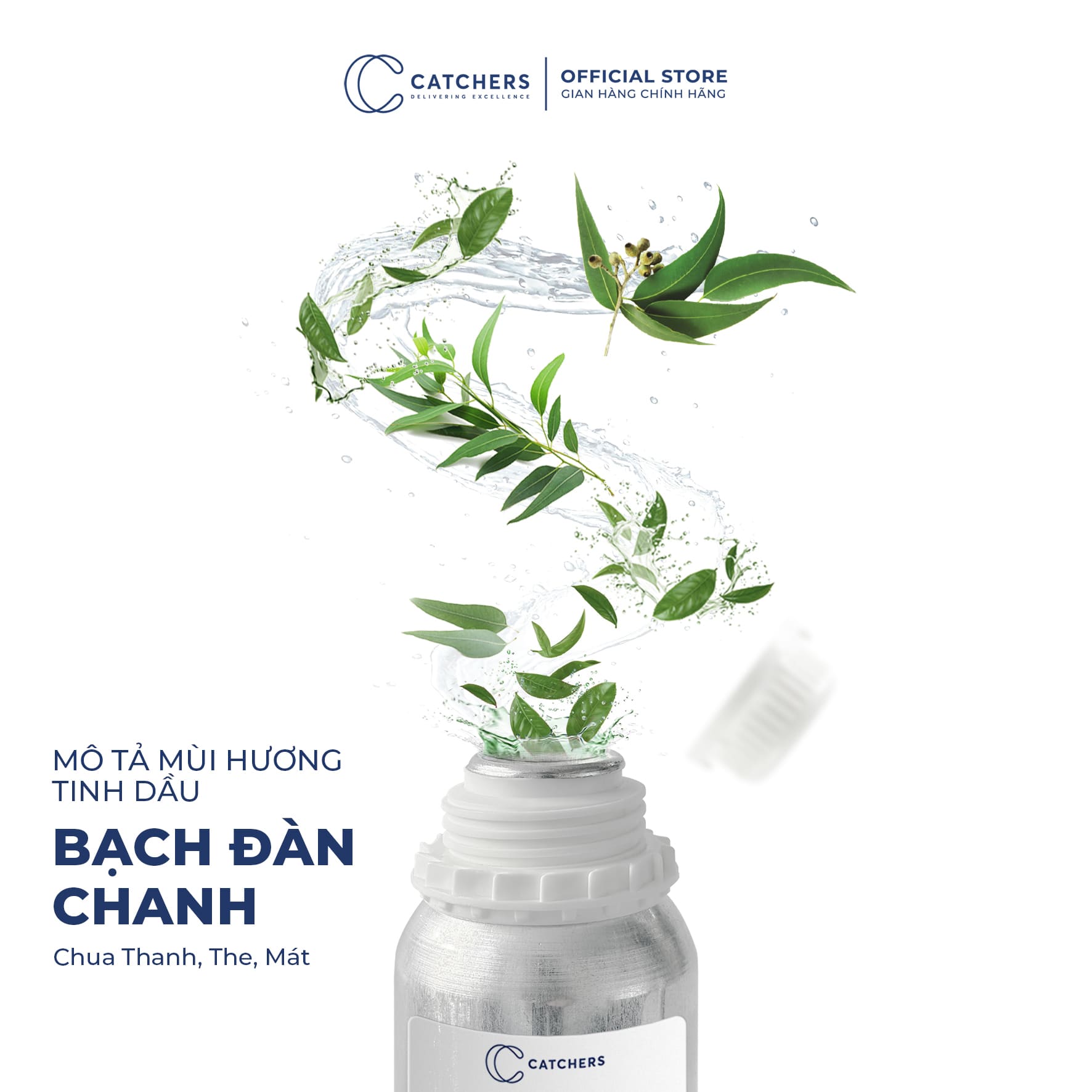 Mô tả mùi hương Tinh dầu Bạch Đàn Chanh