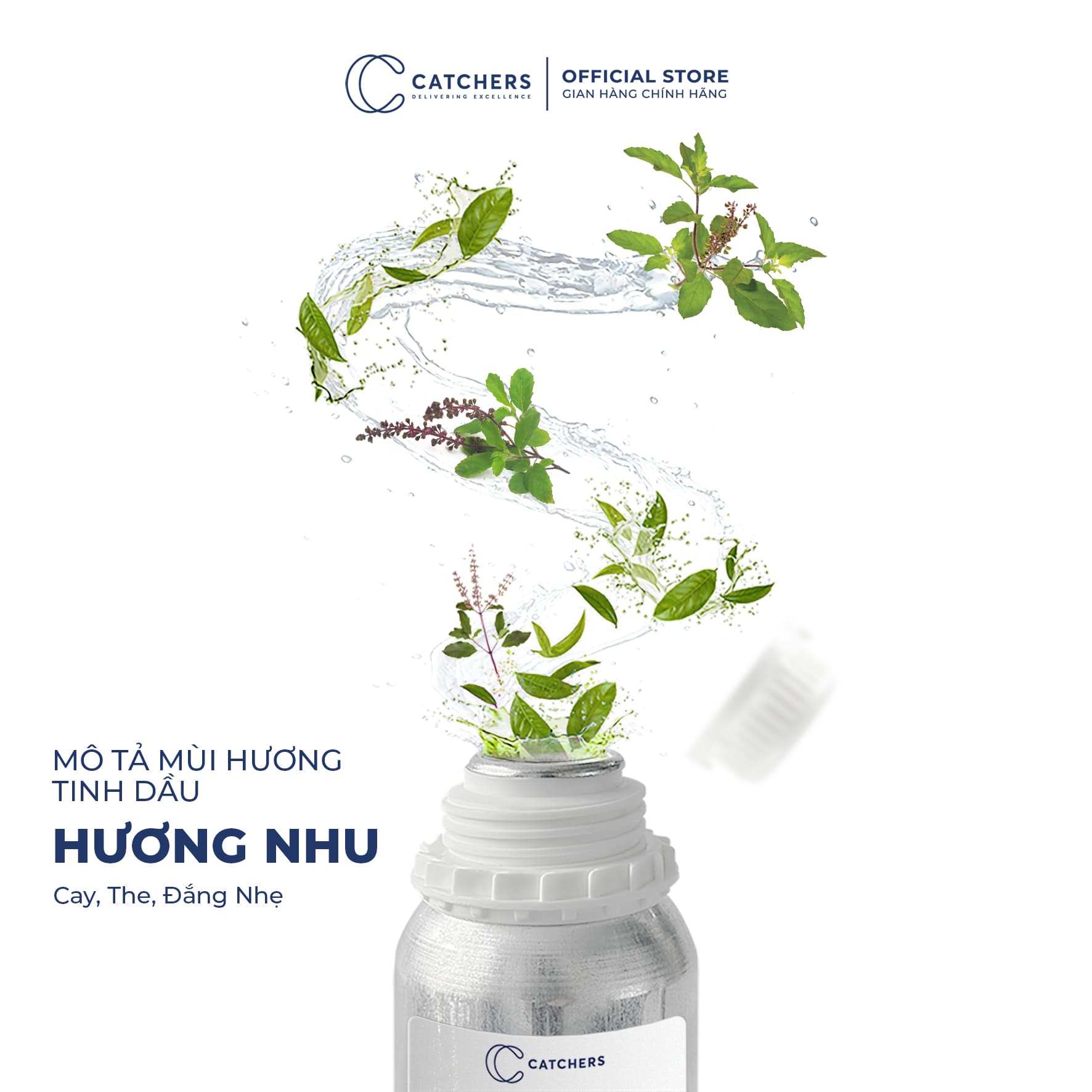 Mô tả mùi hương Tinh dầu Hương Nhu