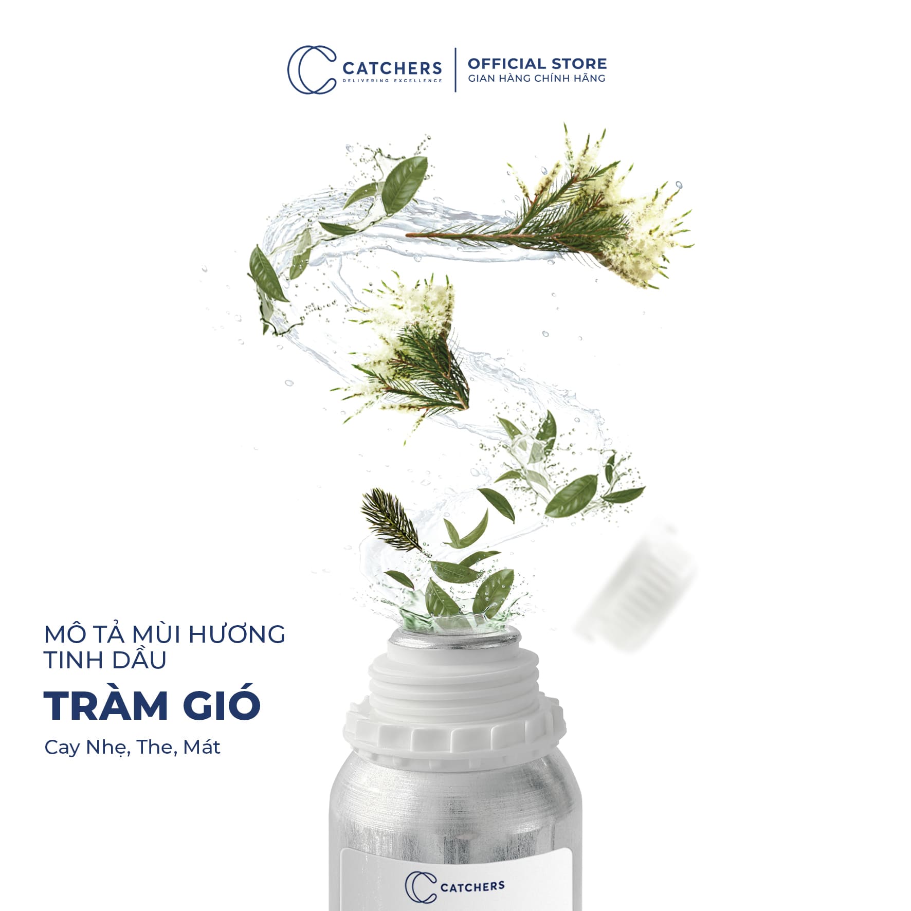 Mô tả mùi hương Tinh dầu Tràm Gió