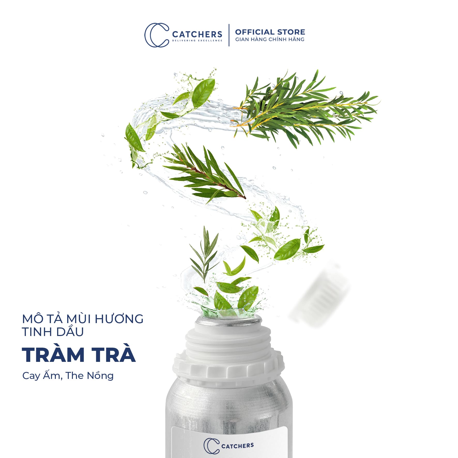 Mô tả mùi hương Tinh dầu Tràm Trà