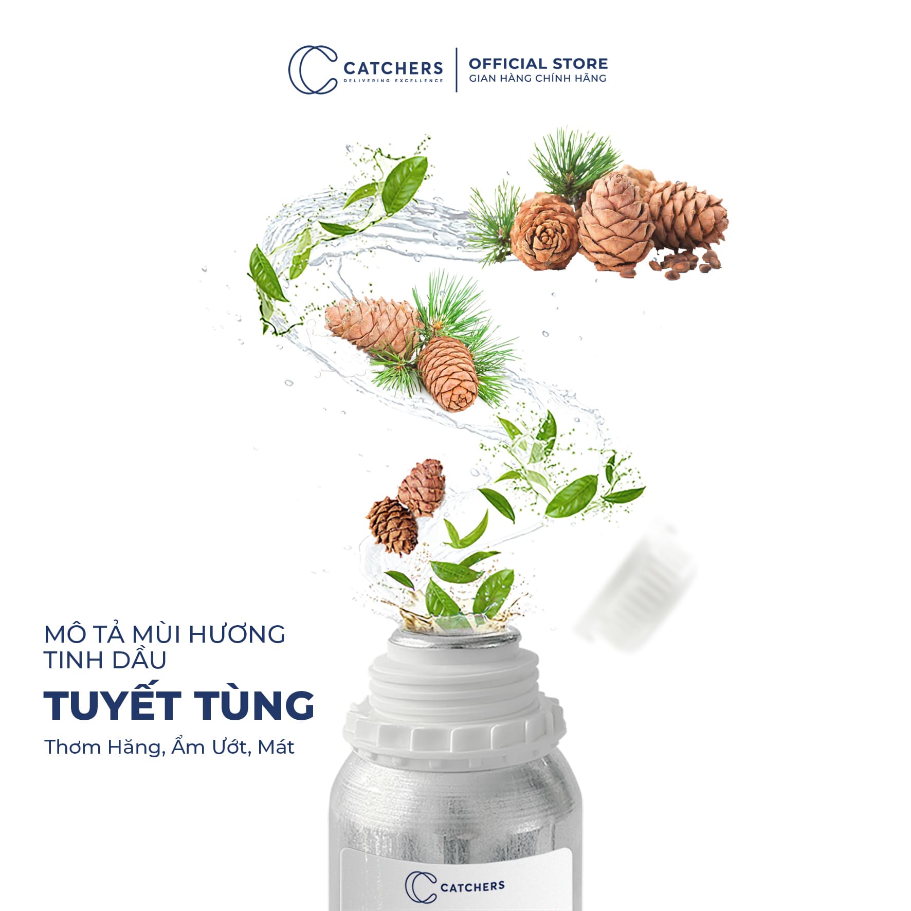 Mô tả mùi hương Tinh dầu Khuếch Tán Tuyết Tùng