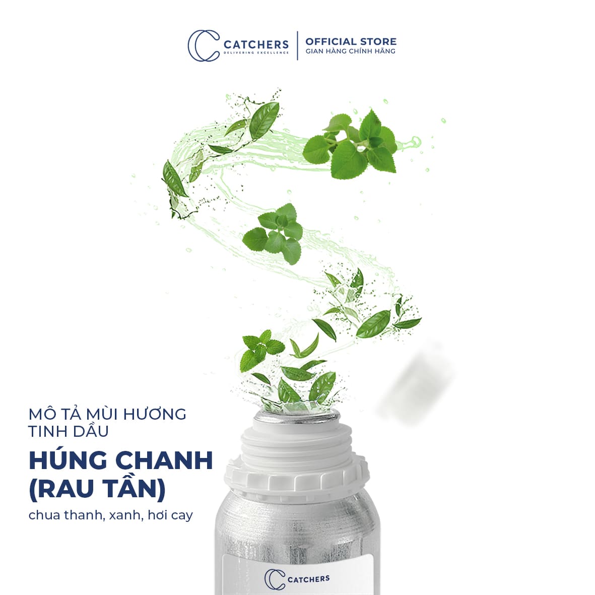 Mô tả mùi hương Tinh Dầu Khuếch Tán Húng Chanh (Rau Tần)