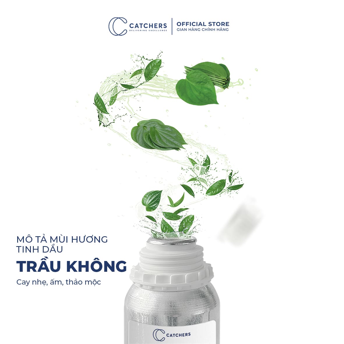 Mô tả mùi hương Tinh Dầu Khuếch Tán Trầu Không