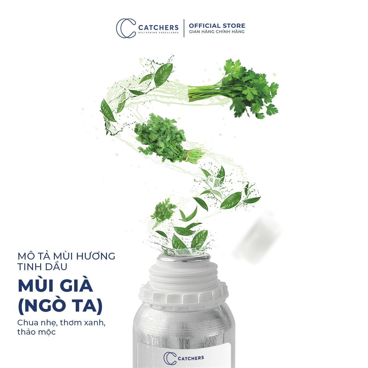 Mô tả mùi hương Tinh Dầu Mùi Già (Ngò Ta)