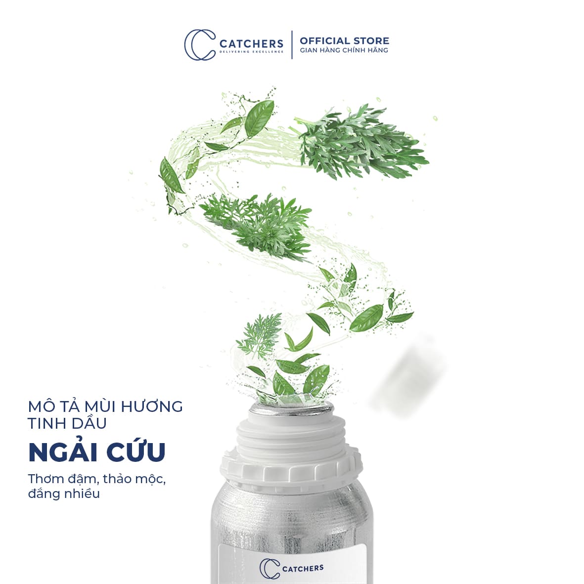 Mô tả mùi hương Tinh Dầu Ngải Cứu