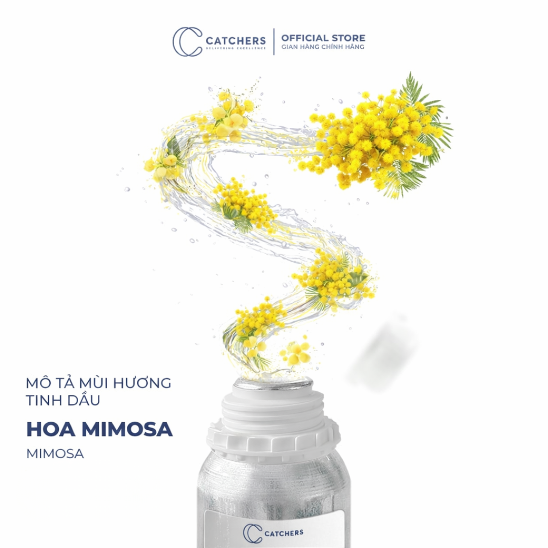 Tinh Dầu Khuếch Tán Hoa Mimosa